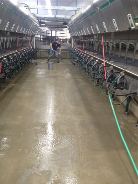 Dairy milking facility with coated steel roof structure