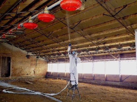 Poultry house roof and structure treated with coating system